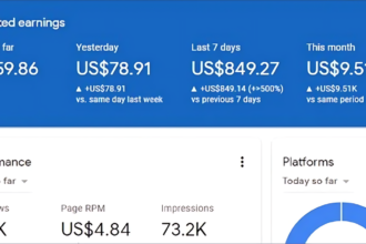 Google Adsense Se Paise Kaise Kamaye Check Process: गूगल एडसेंस से घर बैठे पैसे कैसे कमाए देखिए, Best Earning Source